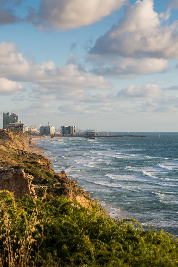 18 listings Herzliya
